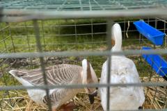 IMG-20250526-WA0051