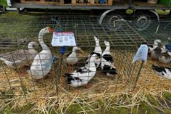 IMG-20250526-WA0064