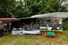 IMG-20250526-WA0065