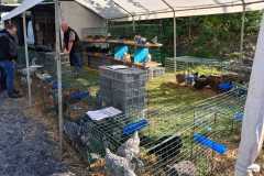 IMG-20250928-WA0035
